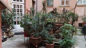 Une cour intérieure agrémentée de plantes en pot et dotée d’un sol en pierre.