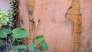Un bâtiment rustique avec une fenêtre, une plante en pot et des plantes grimpantes.