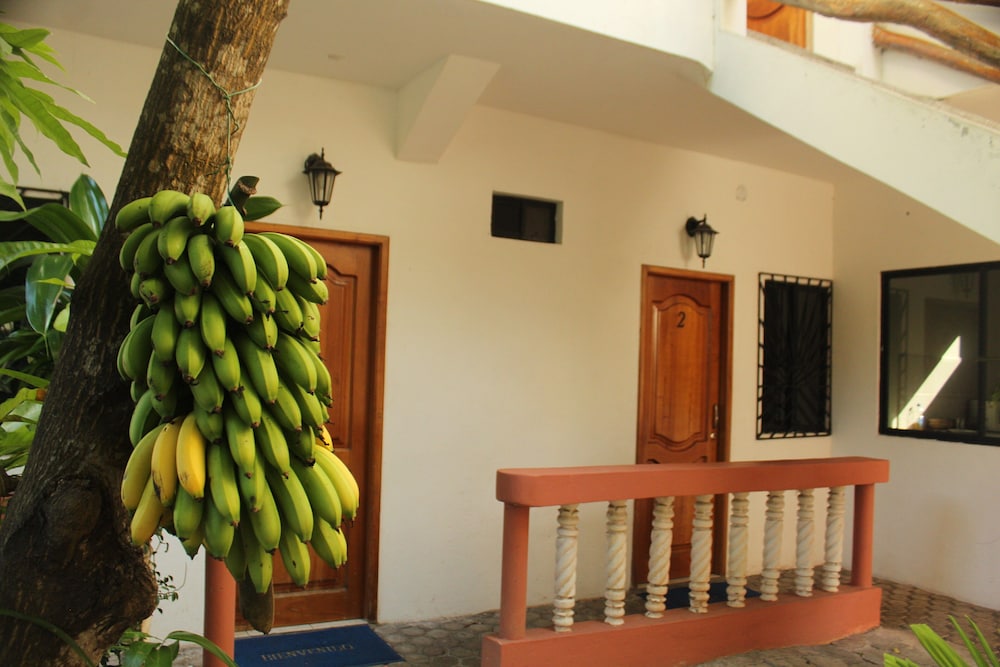 Casa de Nelly, San Cristobal, Galapagos by null