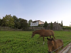 أنشطة الأطفال