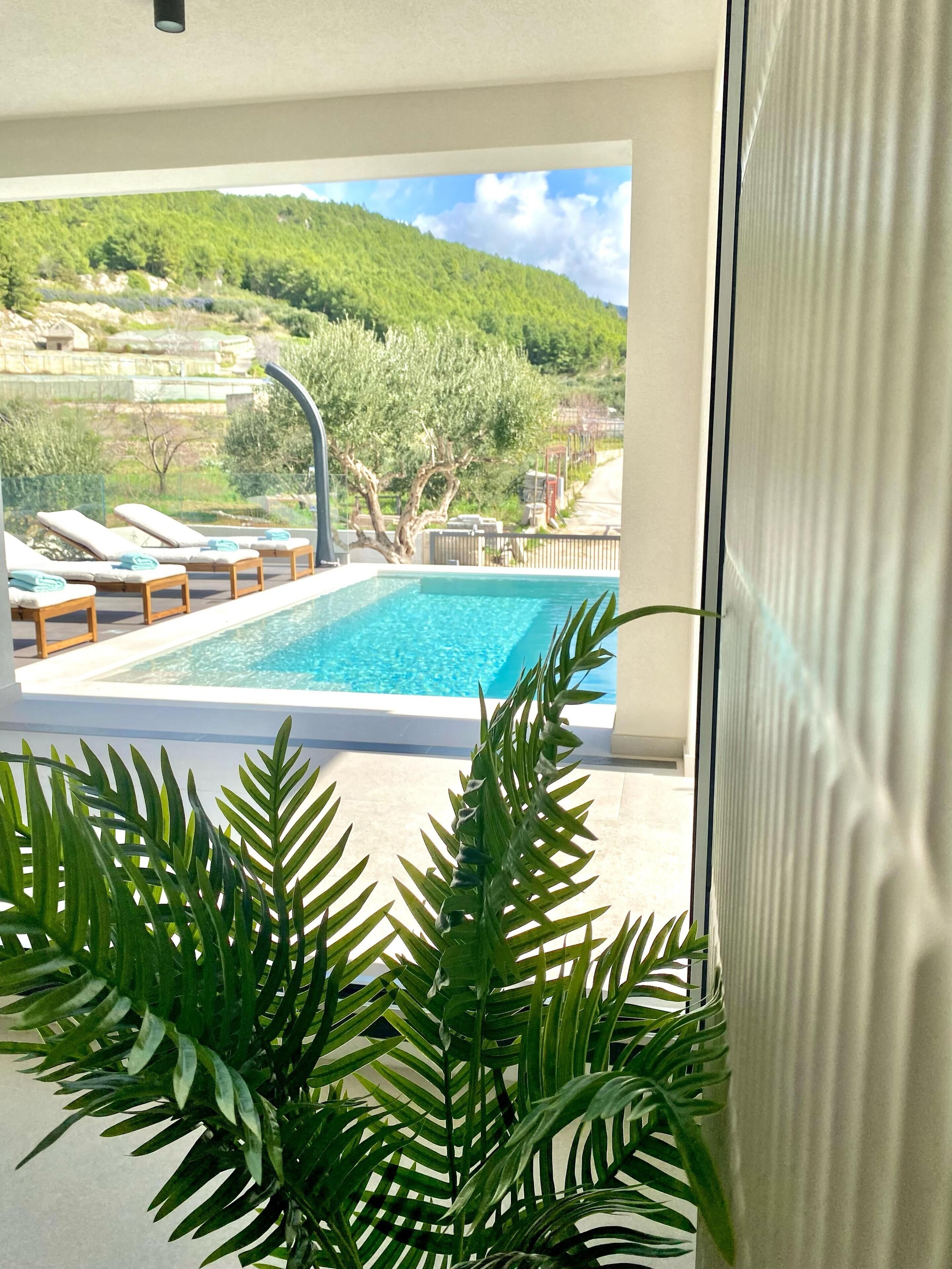 Une piscine avec des chaises longues, une vue sur un paysage verdoyant et une plante au premier plan.