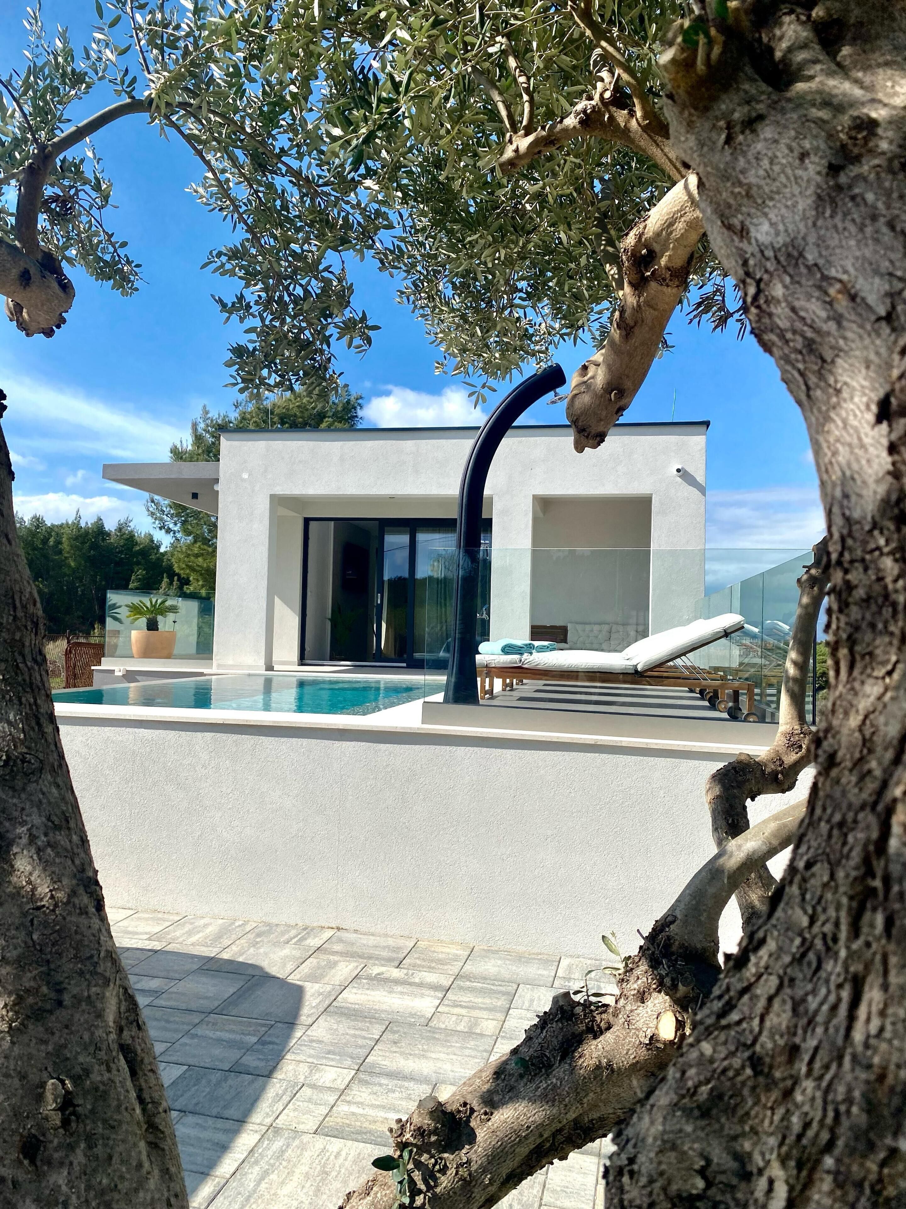 A modern villa with a swimming pool, a glass door entrance, and a lounge area with sun loungers.