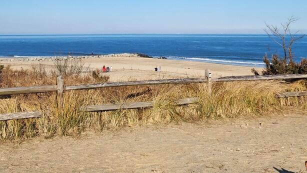 Ein Strand mit blauem Himmel, sandigem Ufer und einem Holzzaun im Vordergrund.
