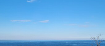 Beach condo- top floor, dog friendly, pool. 2 bed, 2 bath, pull out couch.