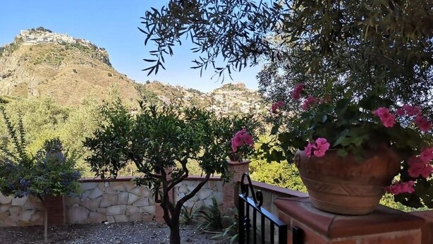 A courtyard with a stone wall, a small tree, and a potted plant with pink flowers. - CHRIS Villa (Taormina)