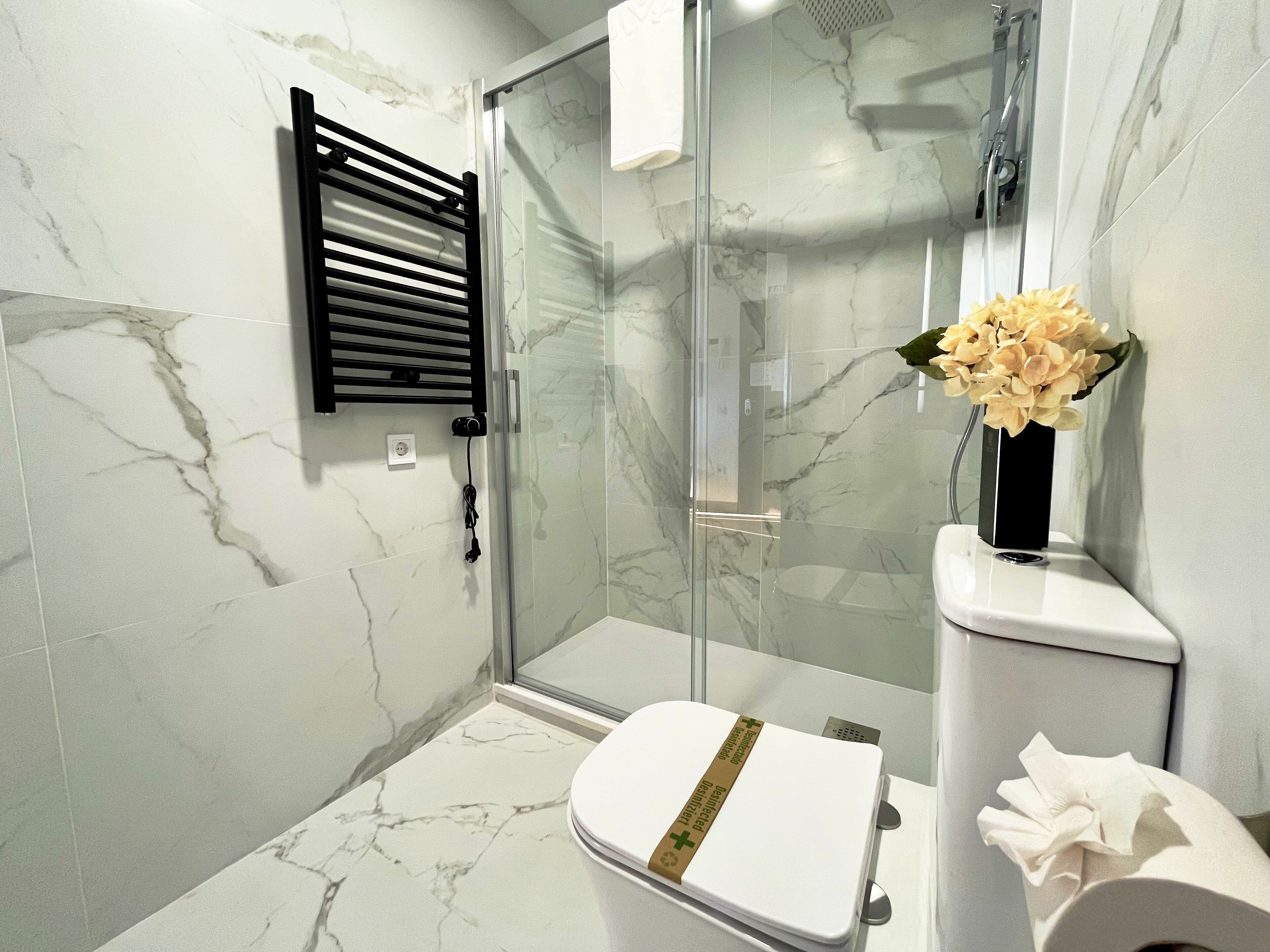 Shower, hair dryer, towels
