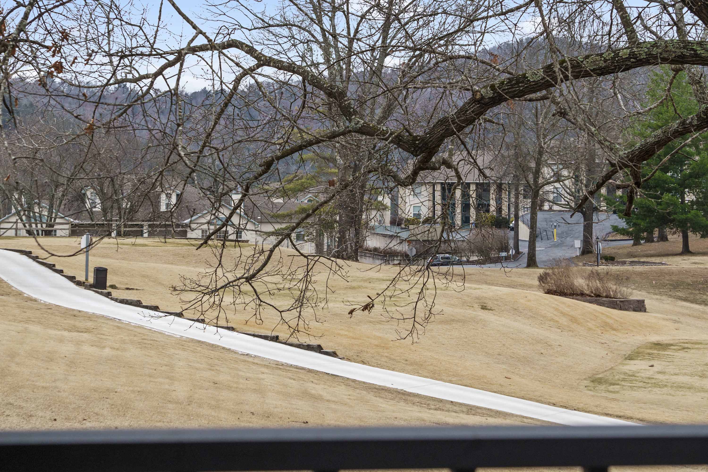 A park with a paved path, trees, and buildings in the background.