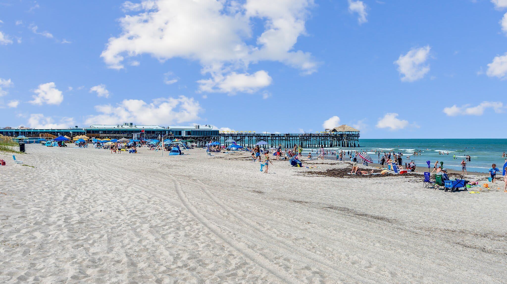 A beach with a pier and beachgoers.