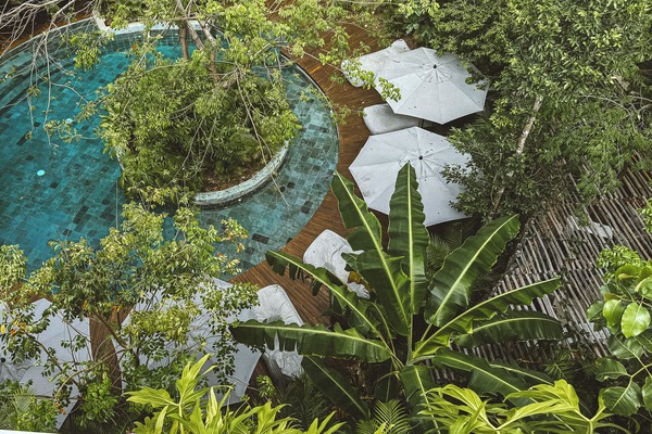 2 piscinas al aire libre, sombrillas, sillones reclinables de piscina