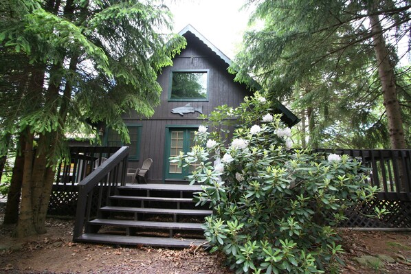 A cabin with a wooden staircase leading to a green door, surrounded by dense forest. - Mtn Modern Couples Retreat PetFriendly;FencedYard;Lake;Beach;Pool;JimThorpe;Ski (Albrightsville)