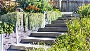 A set of concrete steps leading up to a wooden deck, surrounded by lush greenery and flowering plants.