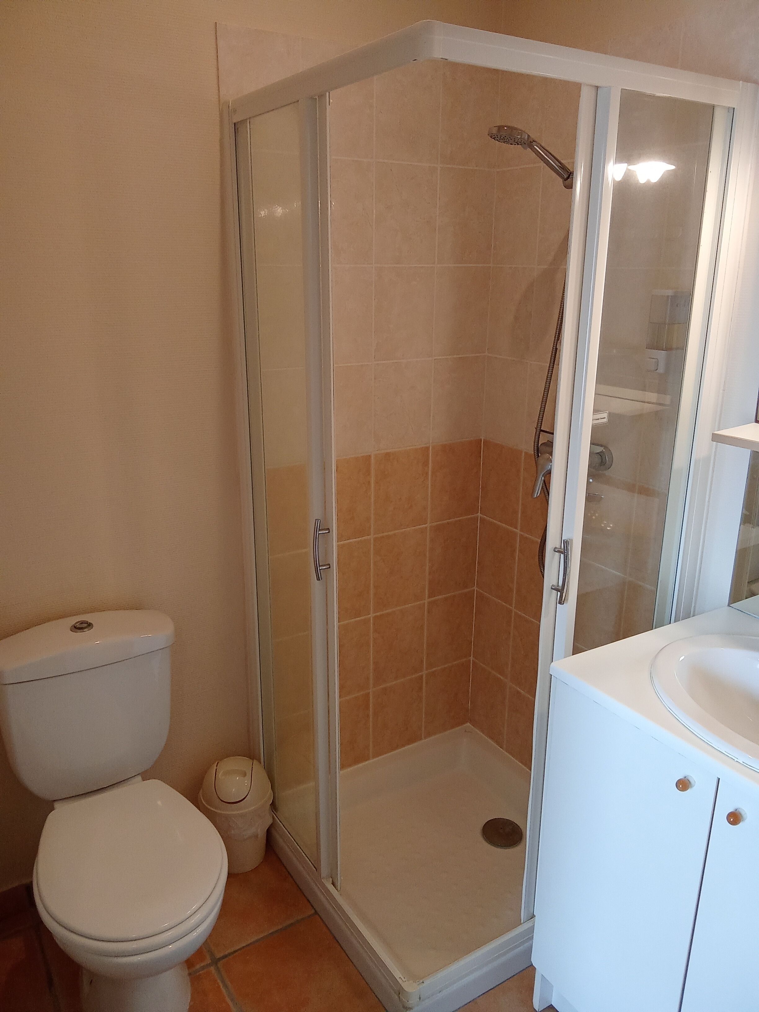 A bathroom with a toilet, a shower enclosure, and a sink.