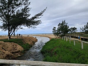 En la playa y camastros 