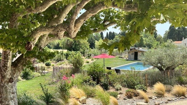 Un jardin avec une piscine, entouré d’une clôture en bois, et un petit bâtiment en arrière-plan.