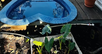 Monkey Cabins near Beach with Mountain Views and Heart Shaped dipping pool