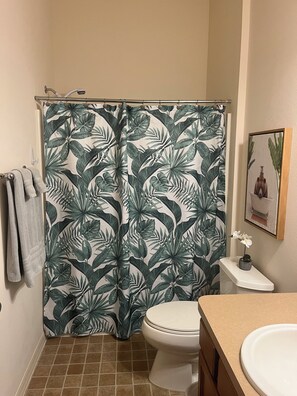 Secadora de cabello, toallas, jabón, papel de baño 