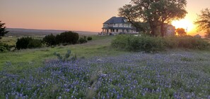 Exterior - Mansion in Meridian, TX - Great central location for vacation in Bosque County (Meridian)