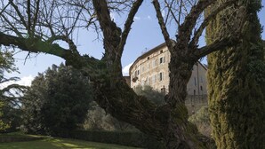 A historic building with a large tree in the foreground, surrounded by a well-maintained lawn and dense shrubbery. - CASTELLO DI SOVICILLE- RESIDENZA D'EPOCA (Sovicille)