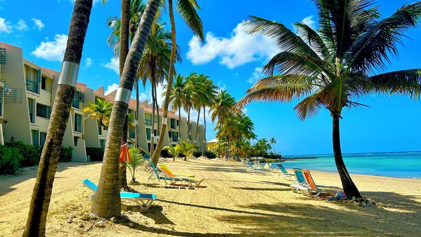 A beach with palm trees, lounge chairs, and a hotel building in the background. - Beachfront Condo in Christiansted with Ocean View (Christiansted)