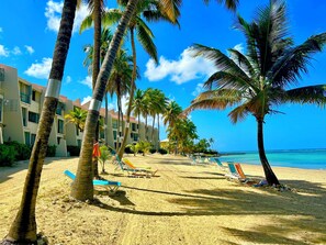 A beach with palm trees, lounge chairs, and a hotel building in the background.