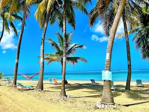On the beach, sun-loungers, beach towels