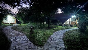 Un chemin de pierres mène à un bâtiment rustique doté d’un toit en pente, le tout étant entouré d’une végétation luxuriante.