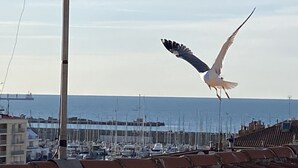 A seagull flying over a marina with boats and buildings in the background.