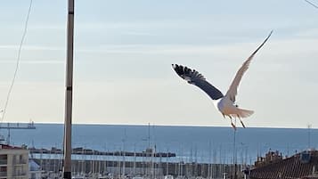 Vue depuis l’hébergement