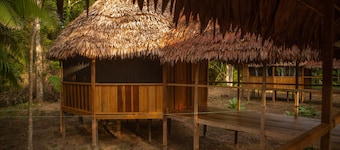 Eywa Lodge Amazonas: Luxurious Eco Escape – All-Inclusive Adventure in the Amazon