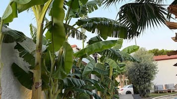 Overnatningsstedets facade