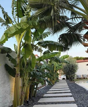 Front of property - MOLEN ALAÇATI (Cesme)