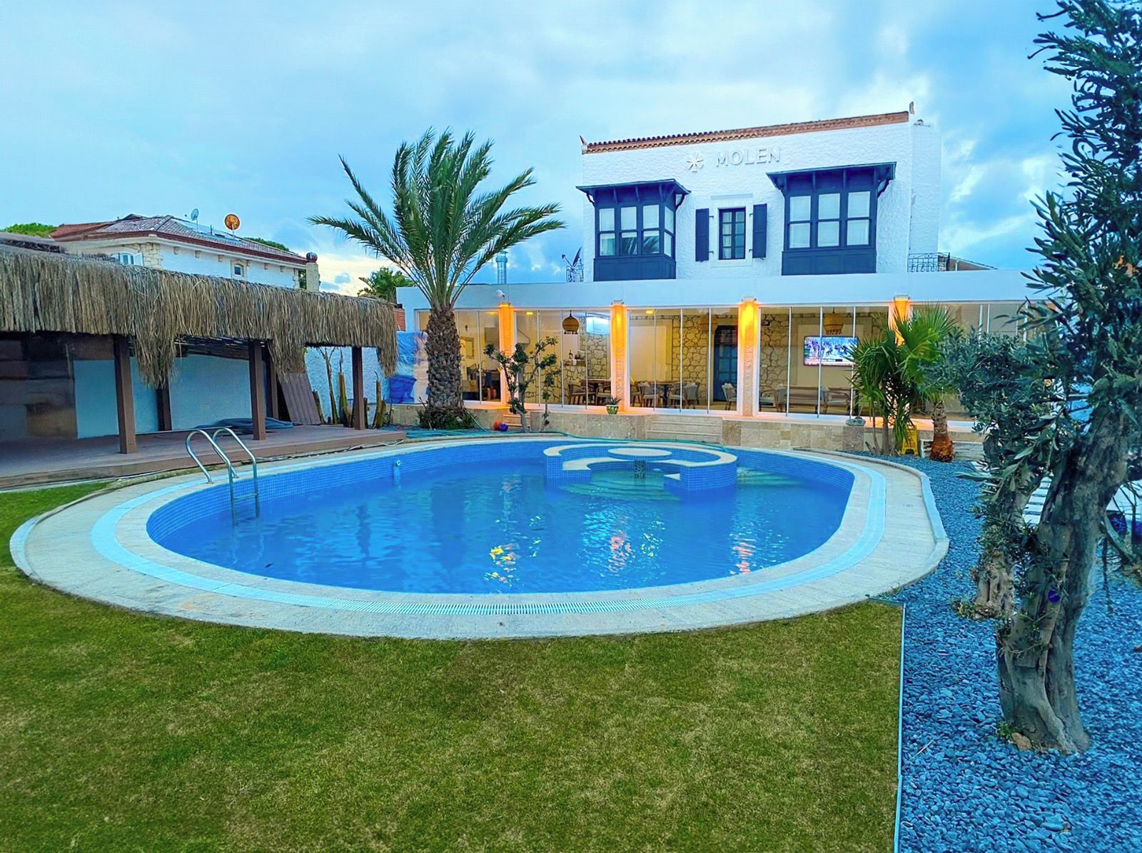 Una piscina de diseño único, rodeada por un césped cuidado y plantas tropicales.