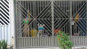A metal gate with a diamond pattern, a potted plant, and a tiled floor. - Suíte com ar Condicionado Próximo ao Estádio Mangueirão e Mangueirinho (Belem)