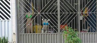 Suíte com ar Condicionado Próximo ao Estádio Mangueirão e Mangueirinho