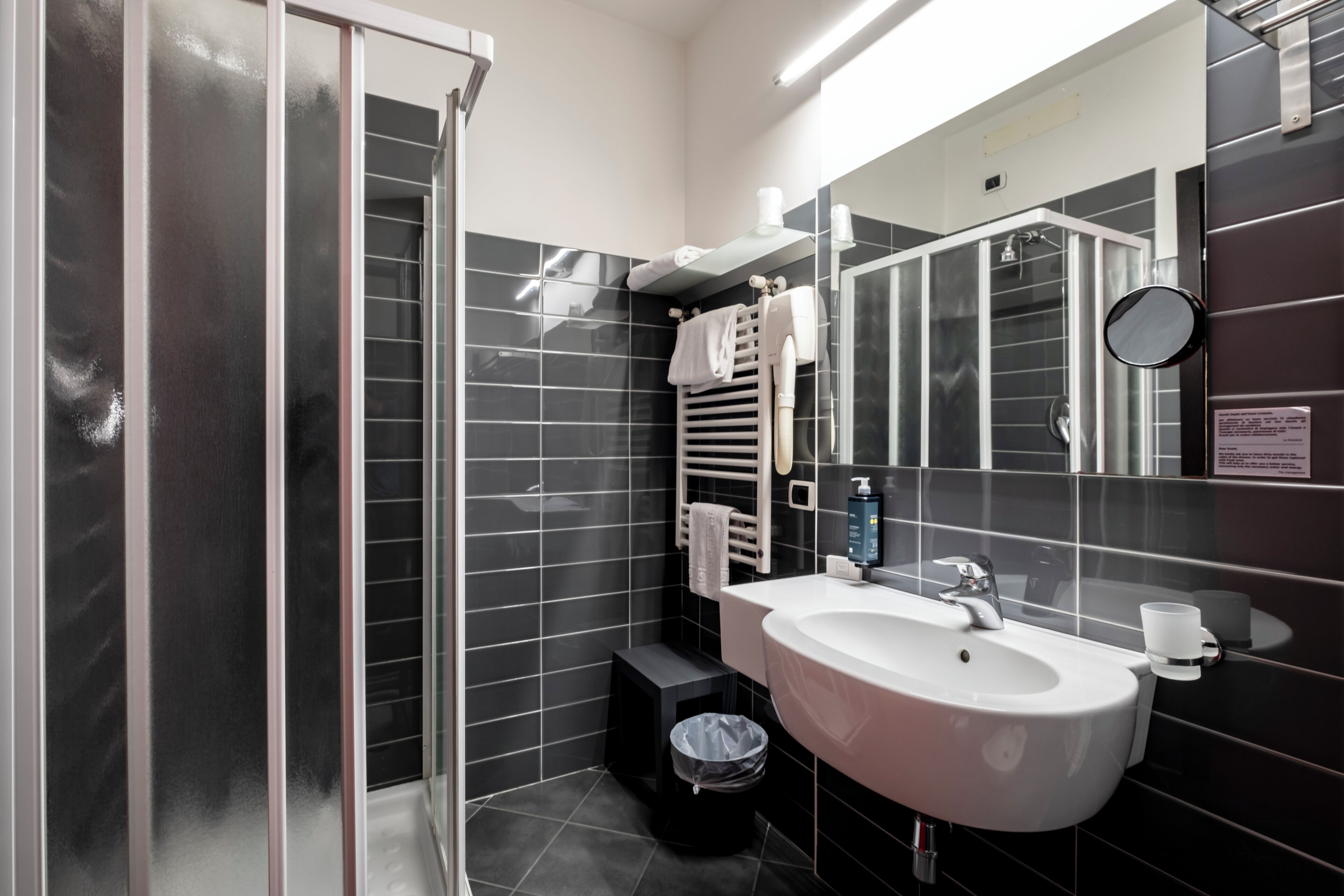 A modern bathroom with a glass shower enclosure, a white sink, and a large mirror.