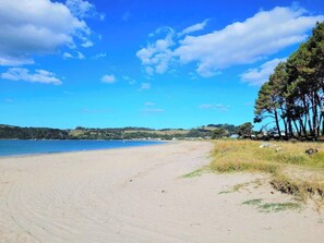 A beach with a clear sky, sandy shore, and trees in the background. - Hosts on the Coast - Nest By The Sea (Cooks Beach)