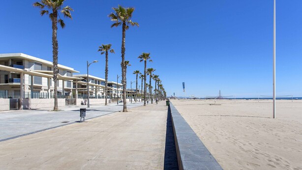A beachside promenade with palm trees, a concrete walkway, and a building with balconies.