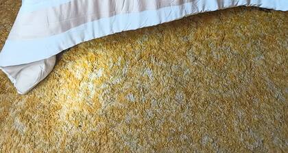 Updated farmhouse with close access to all attractions