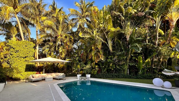 A swimming pool surrounded by lush tropical vegetation, including palm trees and a hedge.