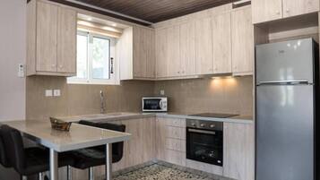 Fridge, oven, stovetop, electric kettle