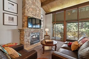 Smart TV, fireplace, books, printers