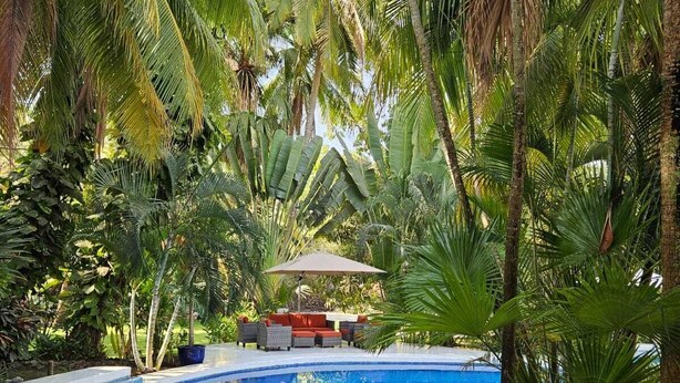 Una piscina rodeada de palmeras y un área de descanso con mobiliario exterior.
