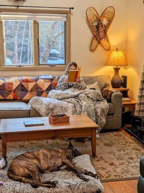 Smart-TV, DVD-Player, Bücher, Computerbildschirme