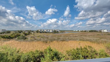 Vista desde la propiedad
