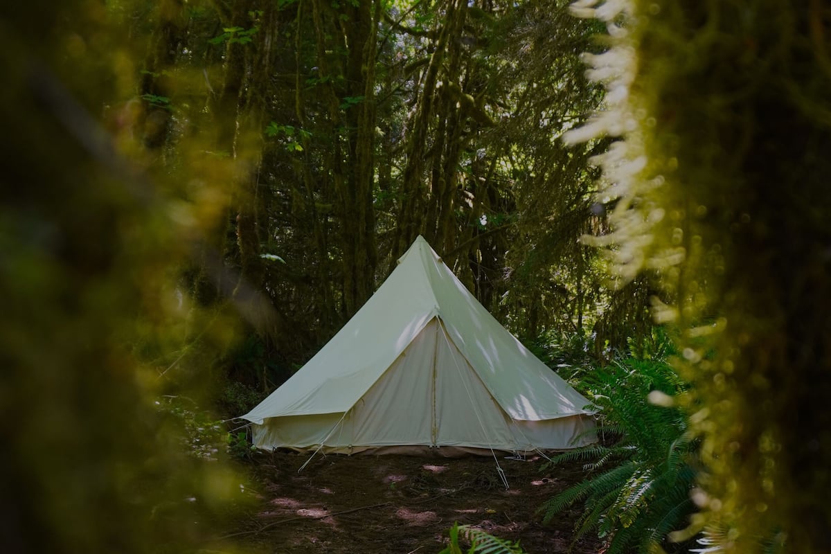 A tent in a forest.