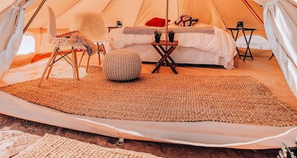 Wander Camp Olympic