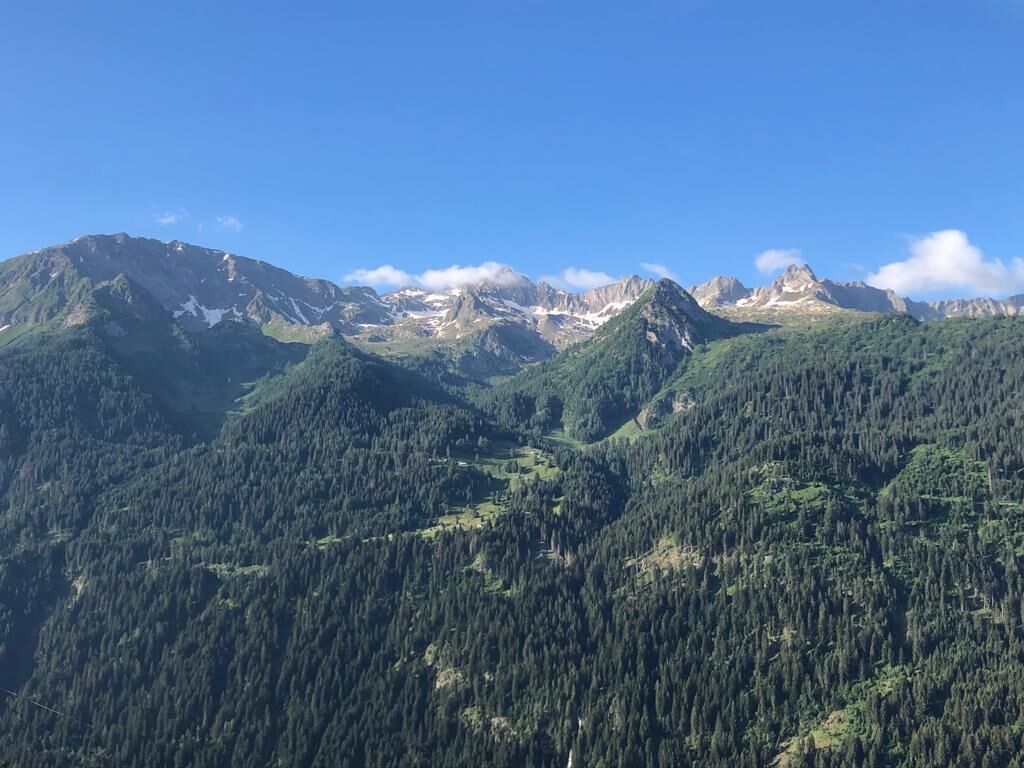 A mountainous landscape with dense forests and rugged peaks.