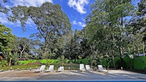 A pool area with lounge chairs and a green wall. - Casa & Casita Miel - 3 Bed Jungle Oasis W/ Pool (Puerto Viejo de Talamanca)