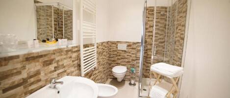 Shower, hair dryer, bidet, towels