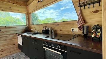 Full-sized fridge, microwave, oven, stovetop